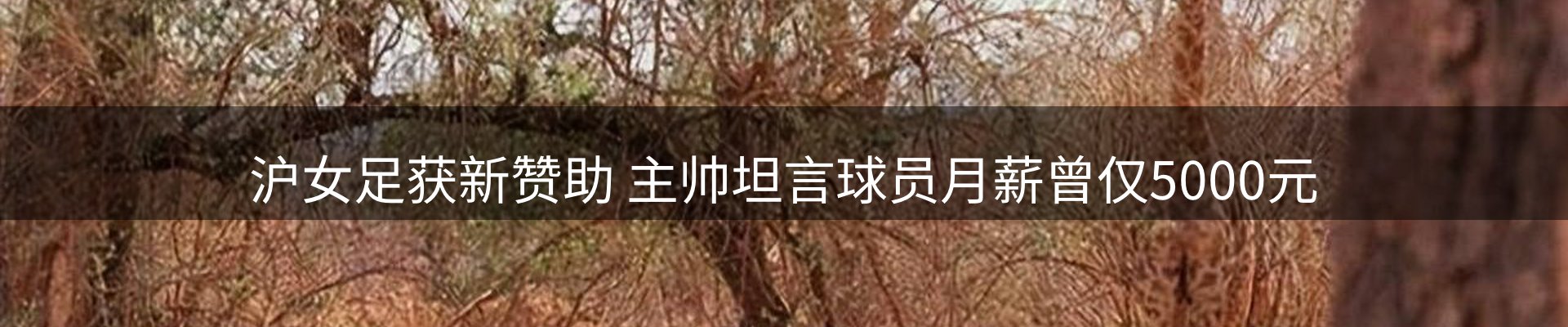 平台资讯